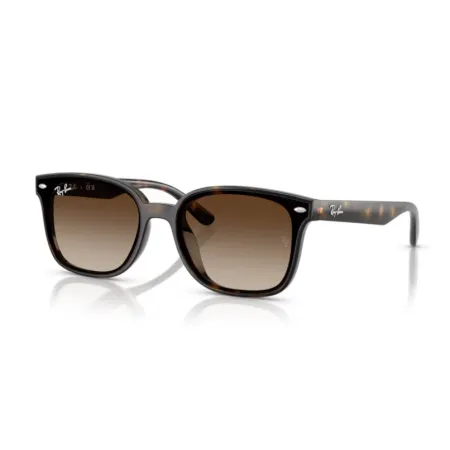 Ray-Ban 0RB4461D 71013